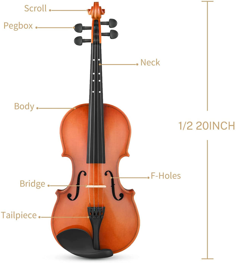 Eastar EVA-2 1/2 1/4 3/4 4/4 Ensemble violon et accessoires