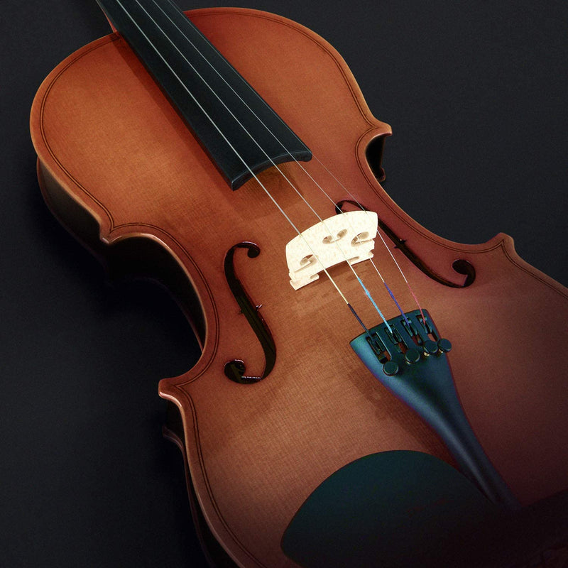 Eastar EVA-2 1/2 1/4 3/4 4/4 Violin Set and Accessories